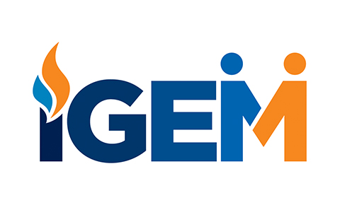 IGEM Flame News & Events June 2021