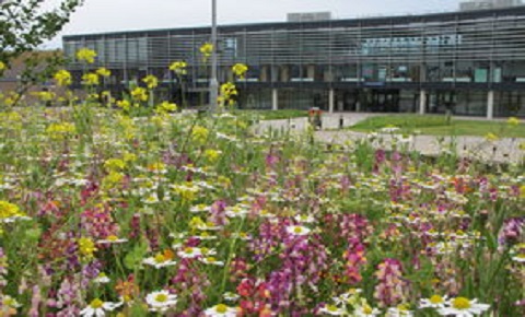 EAUC - Universities, Colleges and Students Mobilise for Paris Climate Action