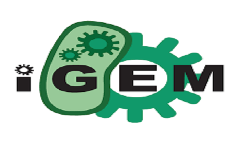 Discover your potential - IGEM scholarships and grants are back